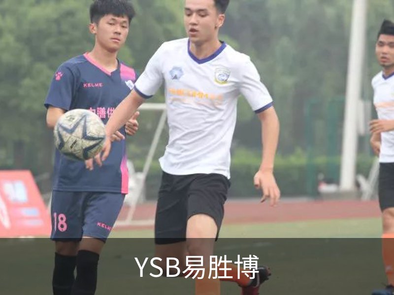 YSB易胜博·(中国)官方网站